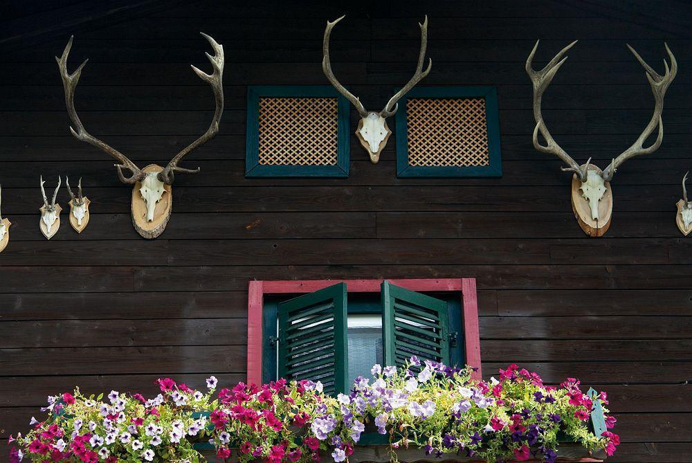 Hotel Angerer Alm St. Johann in Tirol Exterior foto